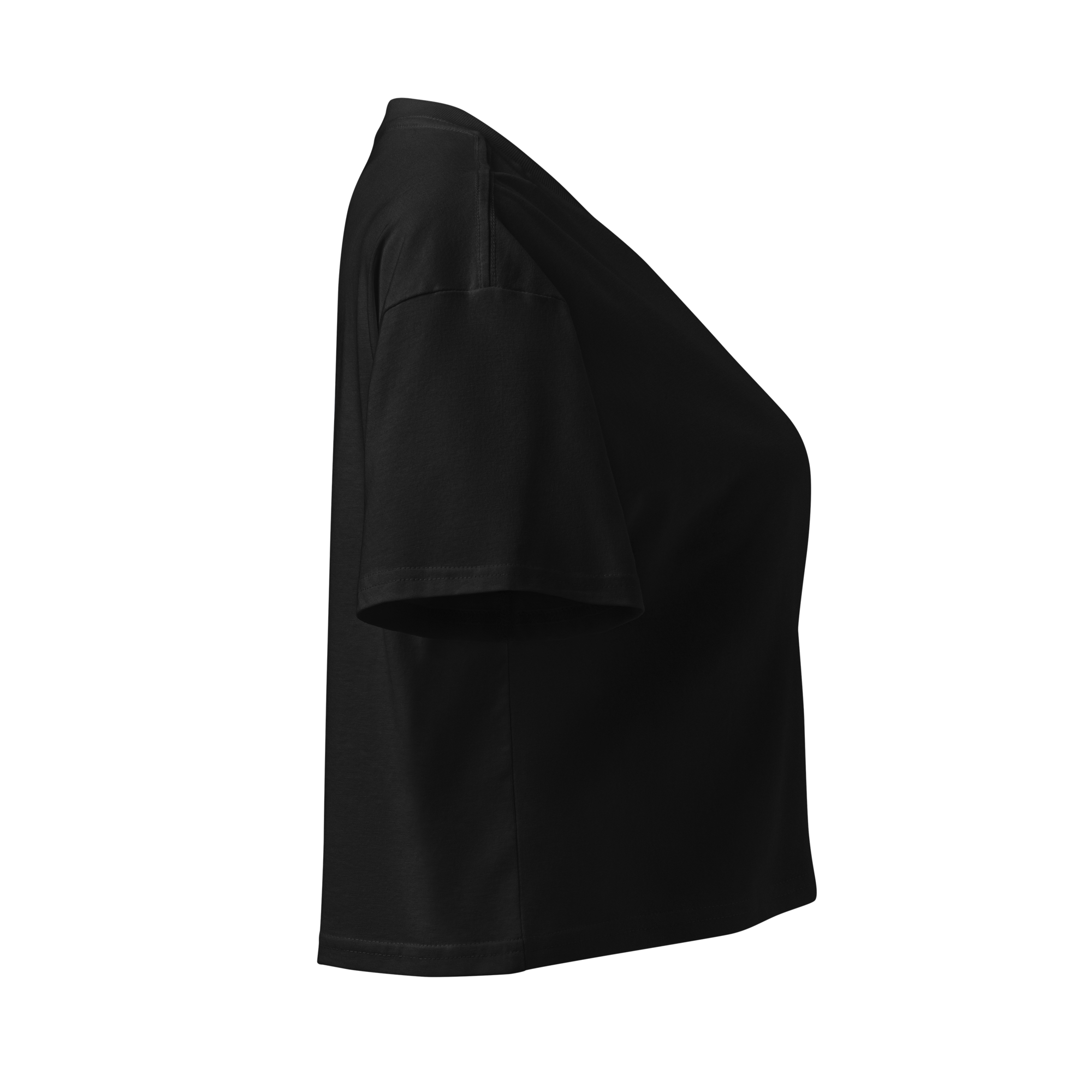 Professional Edition Crop Top - Image 4